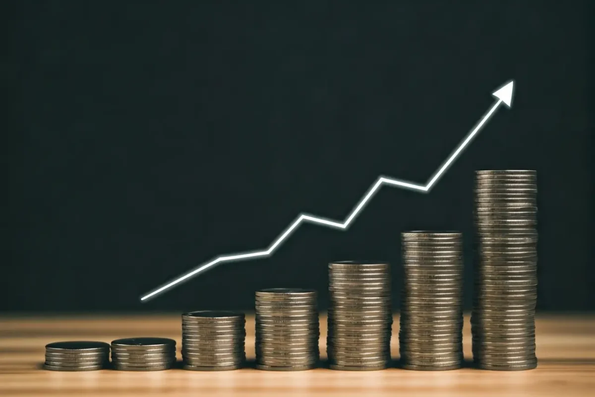 Mastering Cashflow: A Guide for Growing Companies
