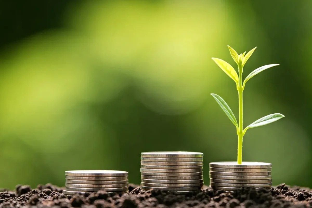 Can WorkCap Assist with Funding for Startups?